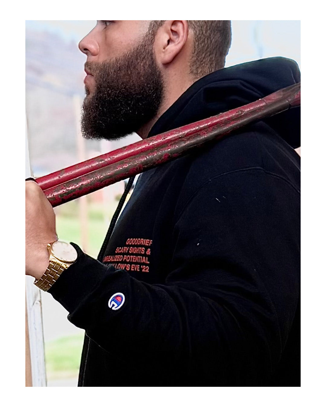 SCARY SIGHTS - HOODIE